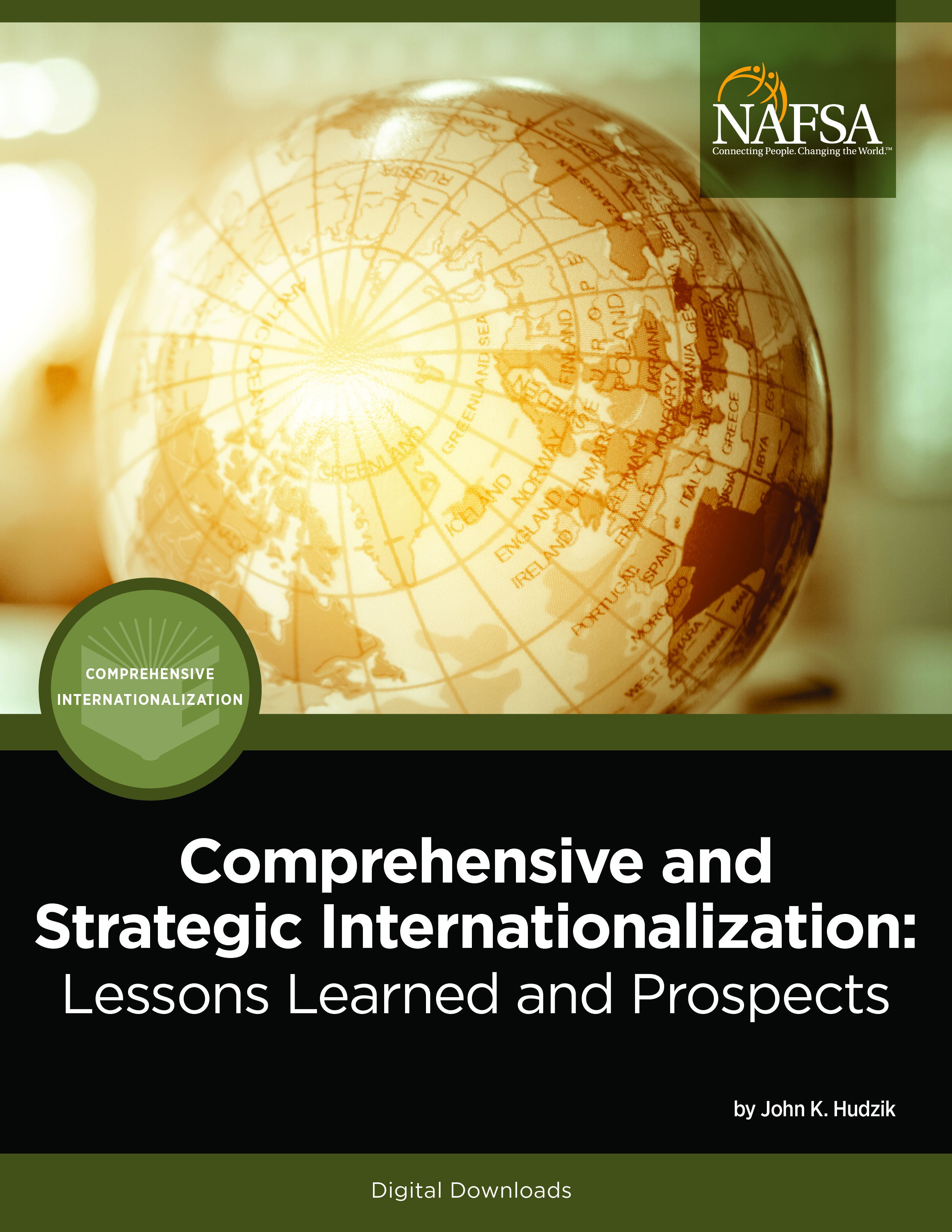 Comprehensive and Strategic Internationalization